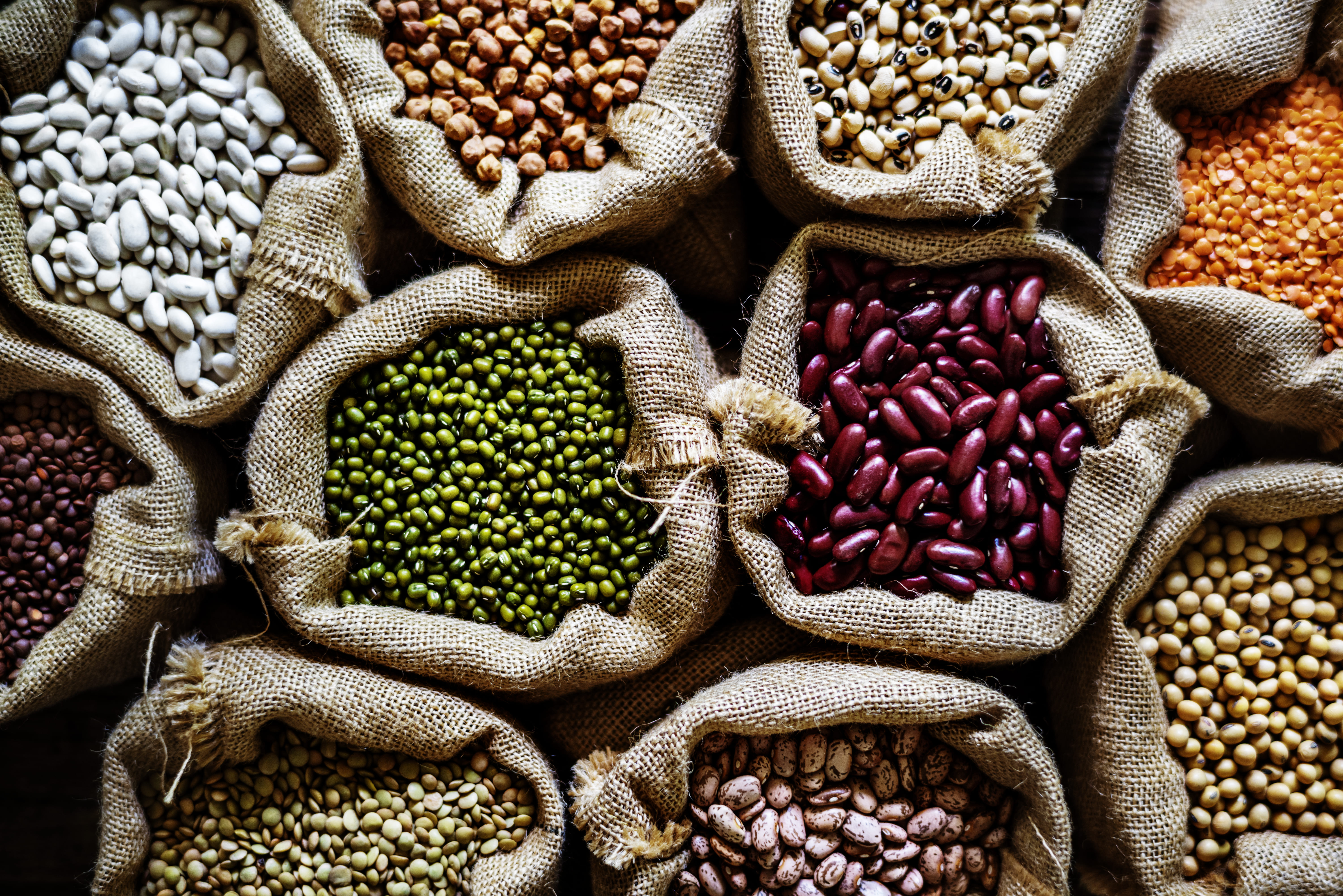 Premium Pulses